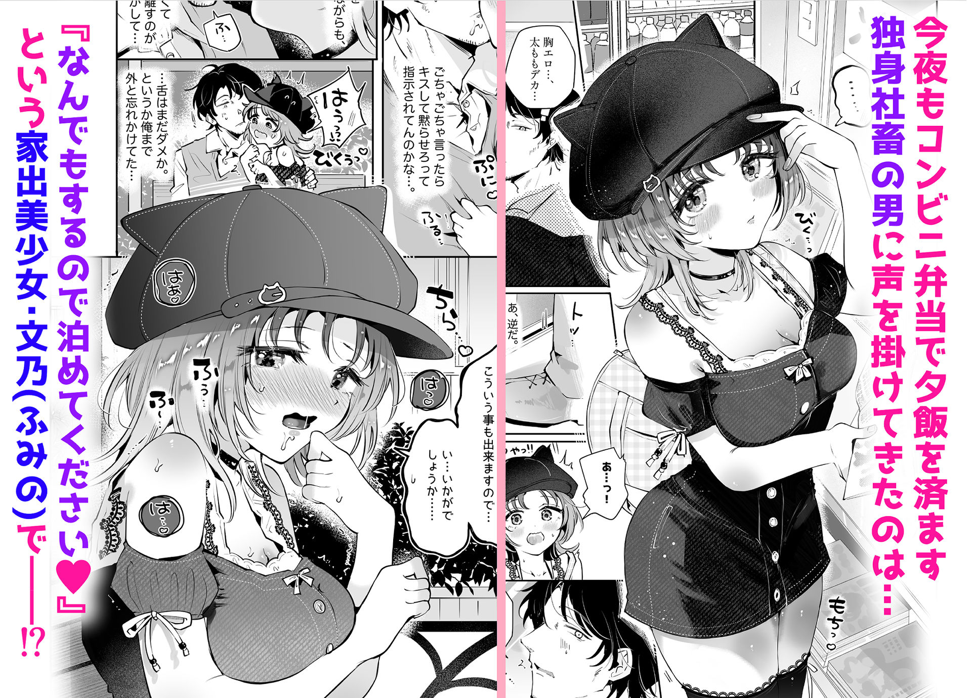 家出美少女〇〇を生オナホとして飼う話〜迷い猫の拾い方〜 画像1