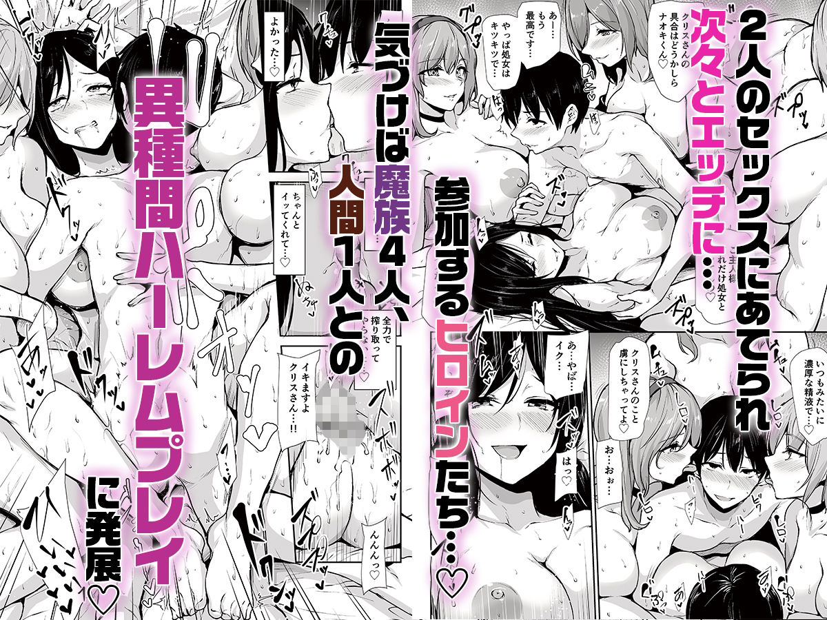 異世界ハーレム物語10 画像3